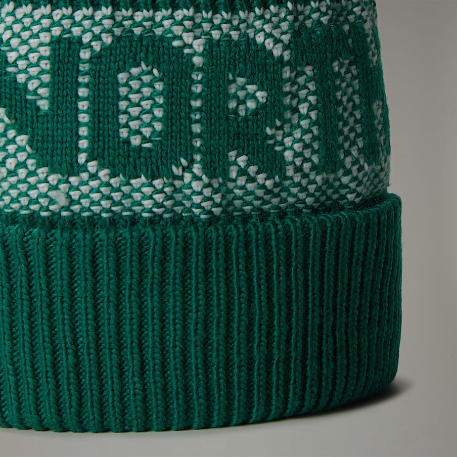 The North Face Retro Cabin Mössa Herr Gröna | NF0A71A7U
