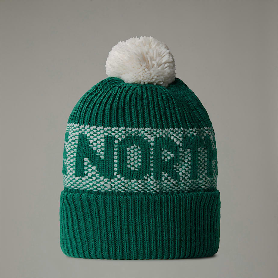 The North Face Retro Cabin Mössa Herr Gröna | NF0A71A7U