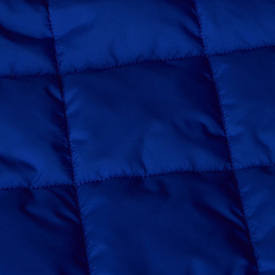 The North Face Reversible Shasta Väst Barn Blå | NF0A69V1R