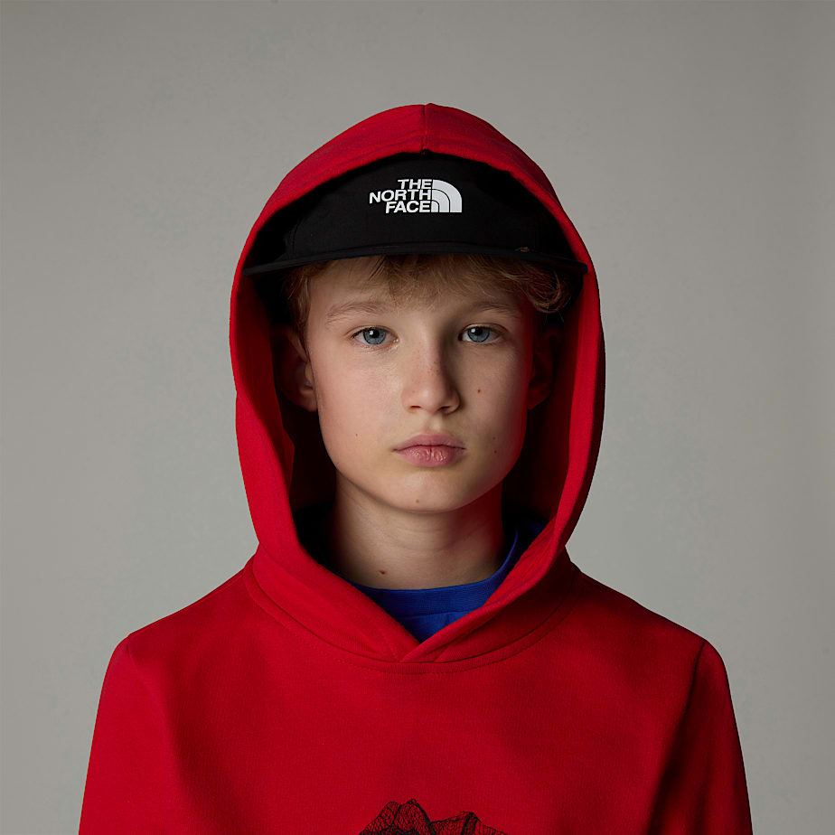The North Face Topographic Hoodie Barn Röda | NF0A58I9F
