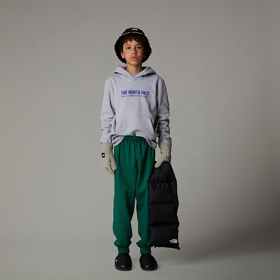 The North Face Varsity Graphic Relaxed Hoodie Barn Grå | NF0A79S6K