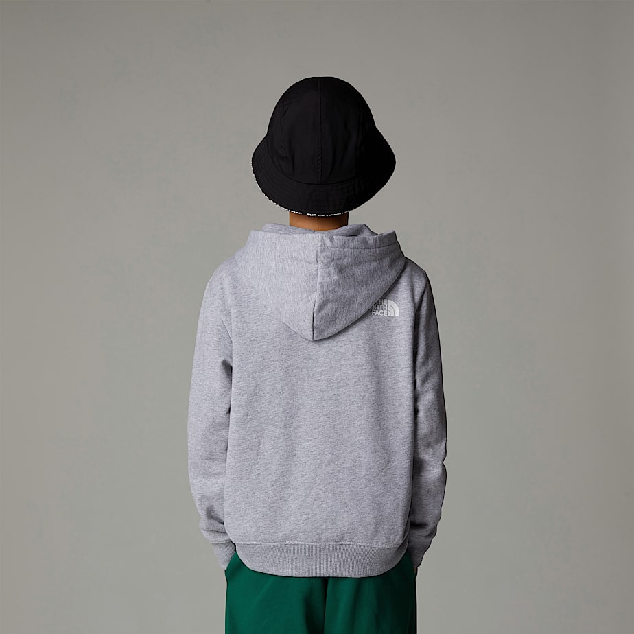 The North Face Varsity Graphic Relaxed Hoodie Barn Grå | NF0A79S6K