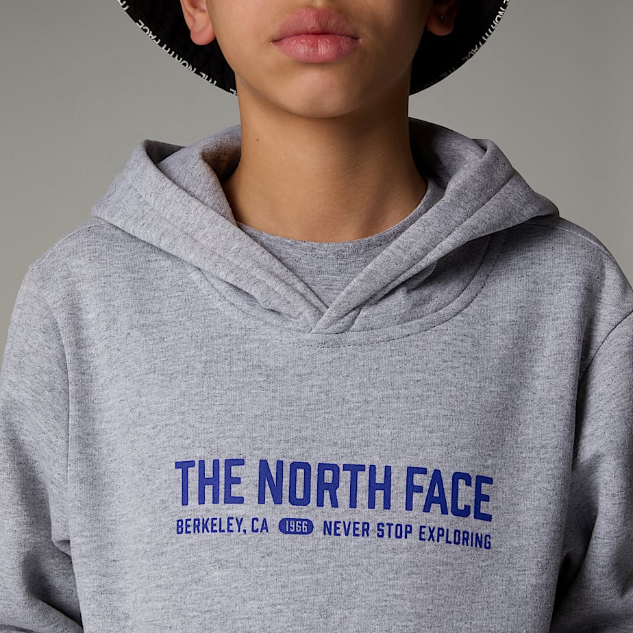 The North Face Varsity Graphic Relaxed Hoodie Barn Grå | NF0A79S6K