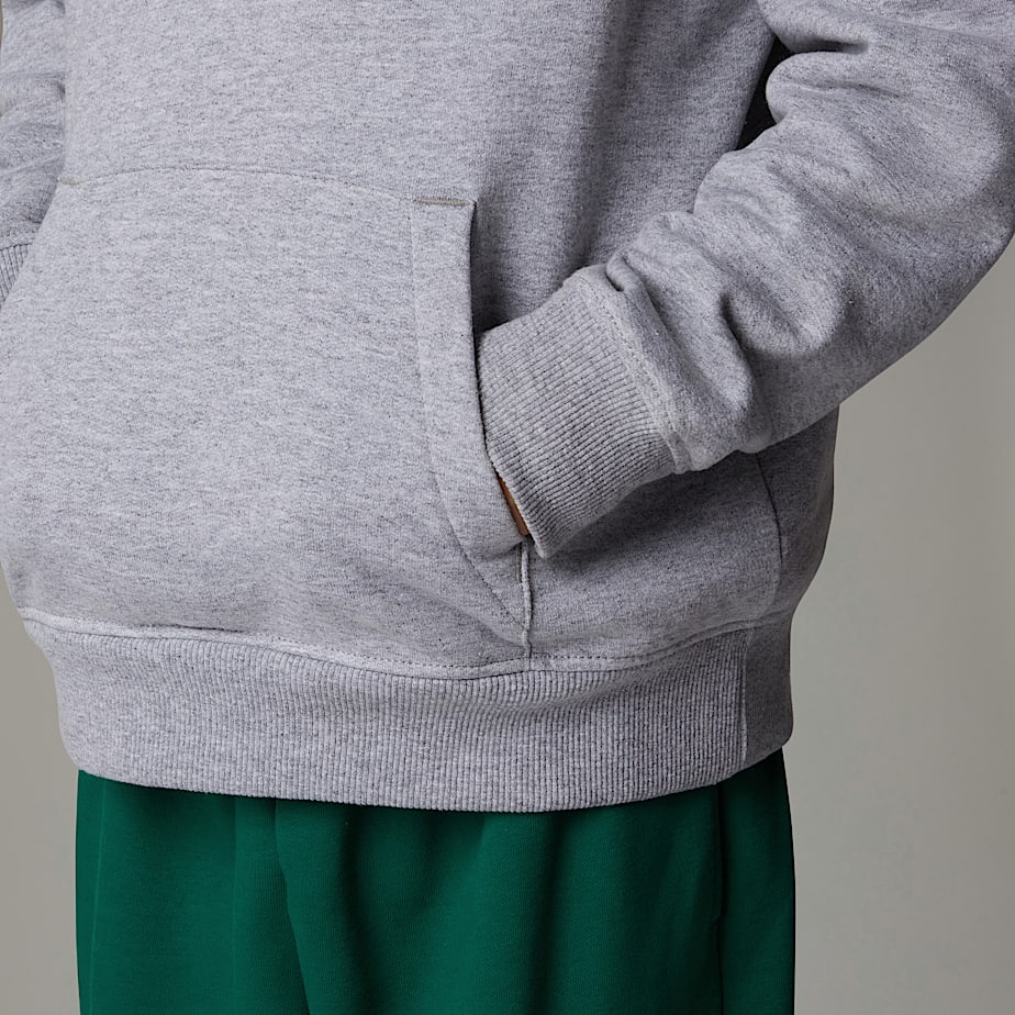 The North Face Varsity Graphic Relaxed Hoodie Barn Grå | NF0A79S6K