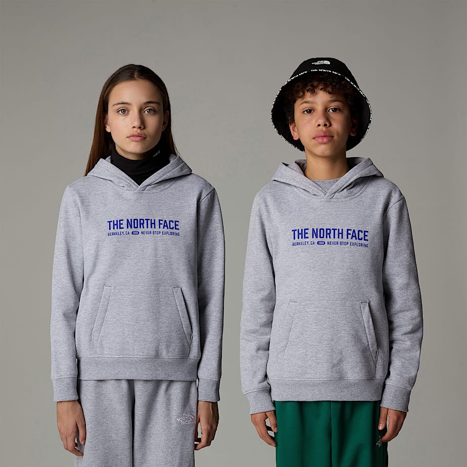 The North Face Varsity Graphic Relaxed Hoodie Barn Grå | NF0A79S6K