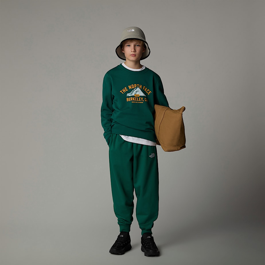 The North Face Varsity Graphic Relaxed Tröjor Barn Gröna | NF0A82S6Y