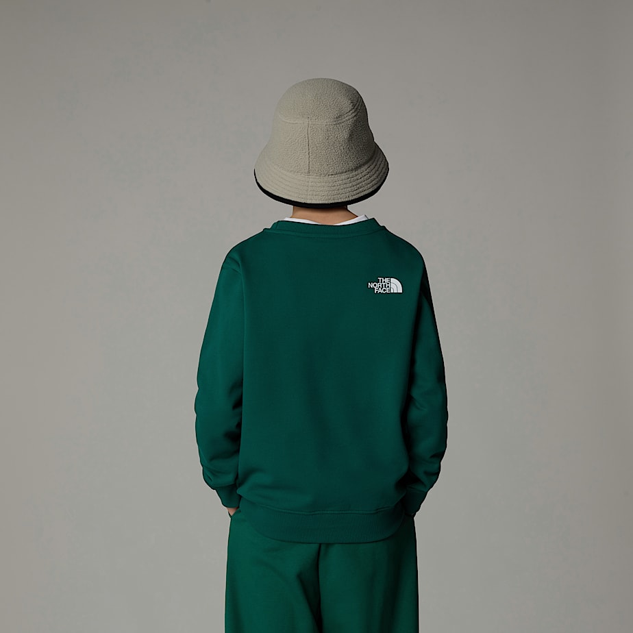 The North Face Varsity Graphic Relaxed Tröjor Barn Gröna | NF0A82S6Y