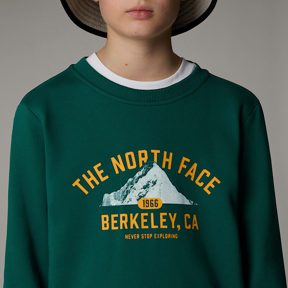 The North Face Varsity Graphic Relaxed Tröjor Barn Gröna | NF0A82S6Y