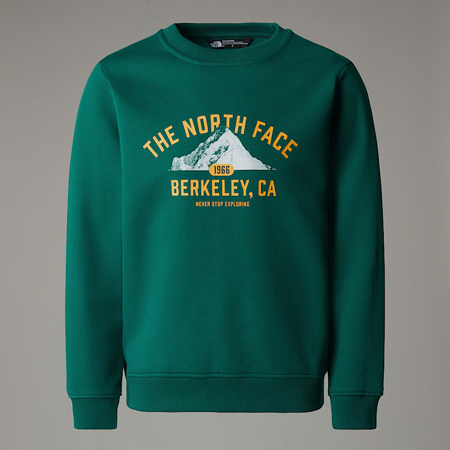 The North Face Varsity Graphic Relaxed Tröjor Barn Gröna | NF0A82S6Y
