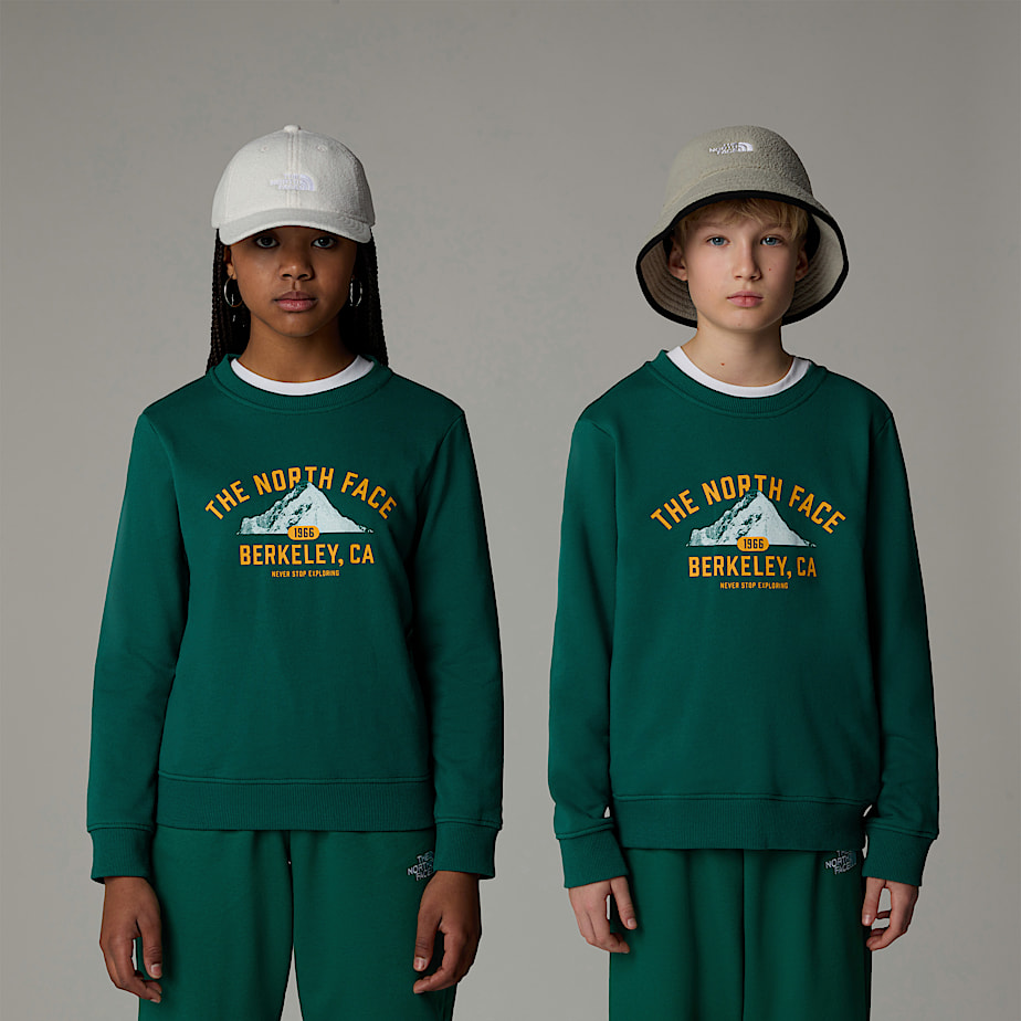 The North Face Varsity Graphic Relaxed Tröjor Barn Gröna | NF0A82S6Y